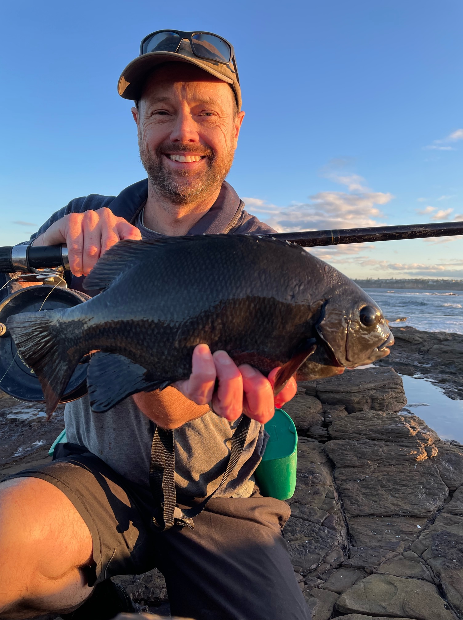 Rock blackfish (drummer) caught on prawn bait